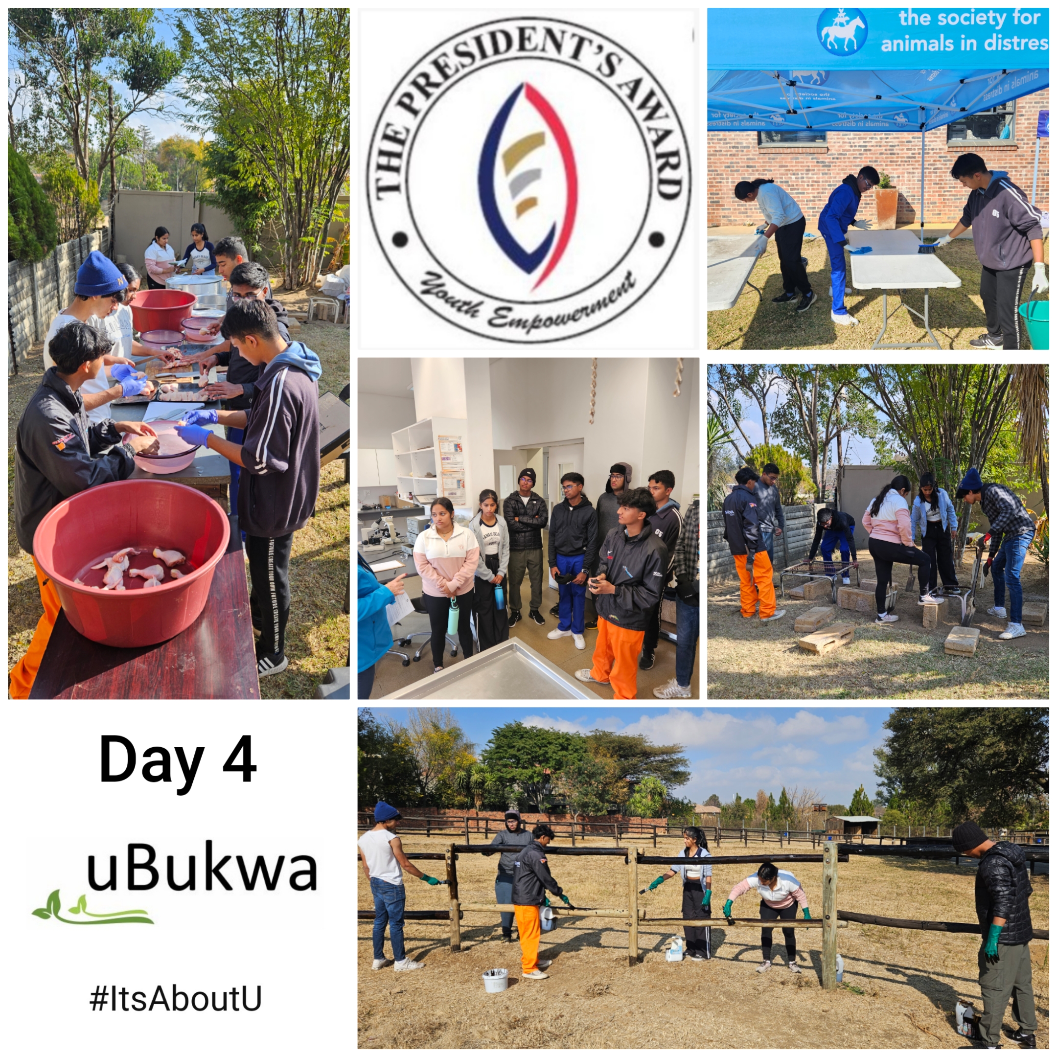 RP TPA Day4 2024 RHWF